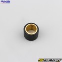 Rolos de variador 31g 29x22 mm Kymco Xciting 500 RMS