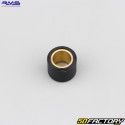 Rolos de variador 11g 21x17 mm Piaggio MP3, Gilera Nexus ... 250, 300 RMS