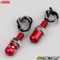 Luci targa, blocco motore... con led blu Lampa rosso