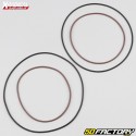 Engine seals Gas Gas EC 200, 250, 300 (1998 - 2004), Wild 300 (2003 - 2004) Xradical