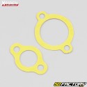 Engine seals Gas Gas EC 200, 250, 300 (1998 - 2004), Wild 300 (2003 - 2004) Xradical