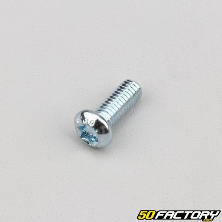 6x16 mm parafusos de cabeça torx (por unidade)