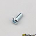 6x16 mm viti a testa torx (per unità)