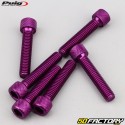 Tornillos cabeza de 6x30 mm BTR Puig violeta (juego de 6)