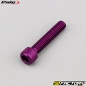 Tornillos cabeza de 6x30 mm BTR Puig violeta (juego de 6)