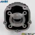 Motor-kit Derbi Euro XNUMX, Euro XNUMX Polini Guss