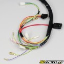 Chicote de fios elétricos Derbi  DRD Xtreme, Gilera SMT, RCR, Aprilia  SX... (XNUMX - XNUMX)