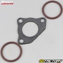 Engine seals Gas Gas MC, Husqvarna TC, KTM SX 50 (since 2009) Xradical