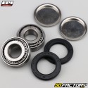 Honda T swingarm bearings and oil sealsRX 300, 450, 500 ... EPI Performance