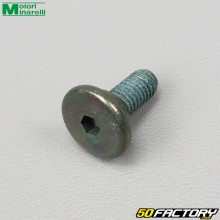 Tornillo de tope del eje del selector de marchas Minarelli WR Yamaha  MONTE, Rieju  maratón Beta ... XNUMX