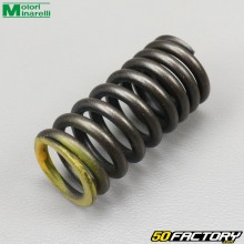 Valve spring Minarelli WR Yamaha MT Rieju Marathon, Beta... 125