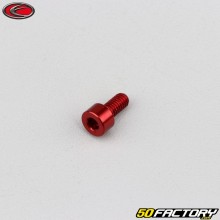 Vite 4x8 mm testa BTR Evotech rossa (per unità)