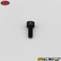 Tornillo de 4x10 mm cabeza BTR Evotech negro (por unidad)