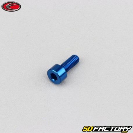 4x10 mm Schraube blau Evotech BTR Kopf (pro Einheit)