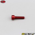 4x15 mm screw head BTR Evotech red (per unit)