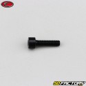 Tornillo de 4x15 mm cabeza BTR Evotech negro (por unidad)