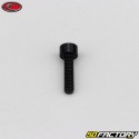 Tornillo de 4x15 mm cabeza BTR Evotech negro (por unidad)