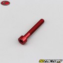 4x25 mm screw head BTR Evotech red (per unit)