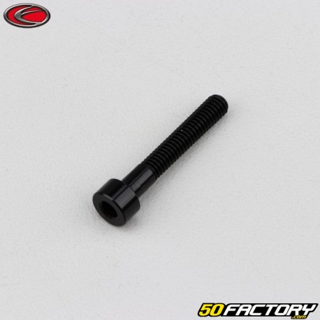 4x25 mm screw BTR head Evotech black (per unit)