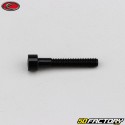 Tornillo de 4x25 mm cabeza BTR Evotech negro (por unidad)