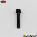 Tornillo de 4x25 mm cabeza BTR Evotech negro (por unidad)