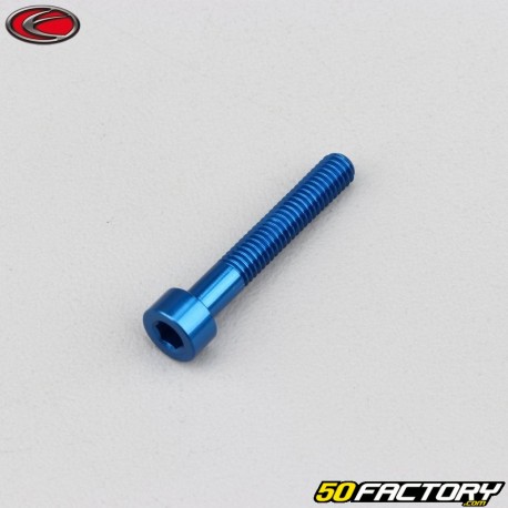 4x25 mm screw blue Evotech BTR head (per unit)