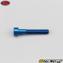 4x25 mm screw blue Evotech BTR head (per unit)