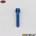 4x25 mm screw blue Evotech BTR head (per unit)