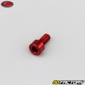 Tornillo cabeza BTR Evotech rojo de 5x10 mm (por unidad)