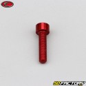 Tornillo cabeza BTR Evotech rojo de 5x20 mm (por unidad)