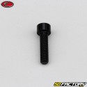 Tornillo de 5x20 mm cabeza BTR Evotech negro (por unidad)