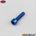 Tornillo de 5x20 mm cabeza azul Evotech BTR (por unidad)