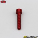 5x25 mm screw head BTR Evotech red (per unit)