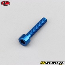 5x25 mm screw head BTR Evotech blue (per unit)