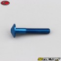 Vite da 5x30 mm Evotech testa tonda BTR blu (per unità)