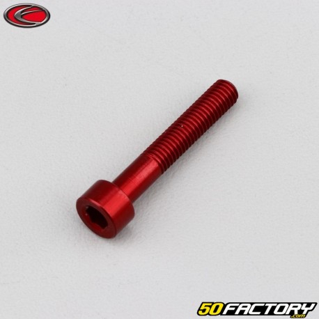 Tornillo cabeza BTR Evotech rojo de 5x30 mm (por unidad)