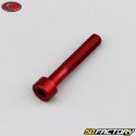 5x30 mm screw head BTR Evotech red (per unit)