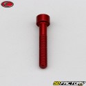 Tornillo cabeza BTR Evotech rojo de 5x30 mm (por unidad)