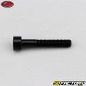 5x30 mm screw BTR head Evotech black (per unit)