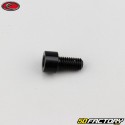 6x10 mm vite BTR testa Evotech nero (per unità)