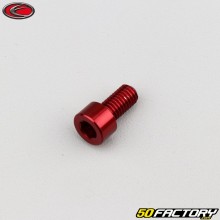 Vite 6x12 mm testa BTR Evotech rossa (per unità)