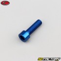 6x20 mm Schraube blau Evotech BTR Kopf (pro Einheit)