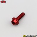 Tornillo de 6x20 mm BTR cabeza abombada base Evotech rojo (por unidad)