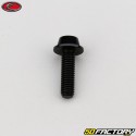 6x20 mm screw BTR domed head black Evotech base (per unit)