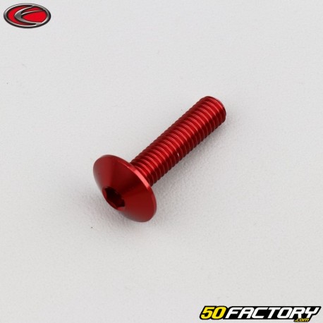 6x25 mm screw rounded head Evotech red (unit)