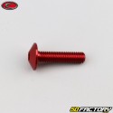 6x25 mm screw rounded head Evotech red (unit)