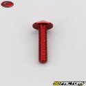 6x25 mm screw rounded head Evotech red (unit)