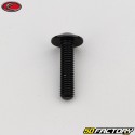 6x25 mm screw BTR domed head Evotech black (single)