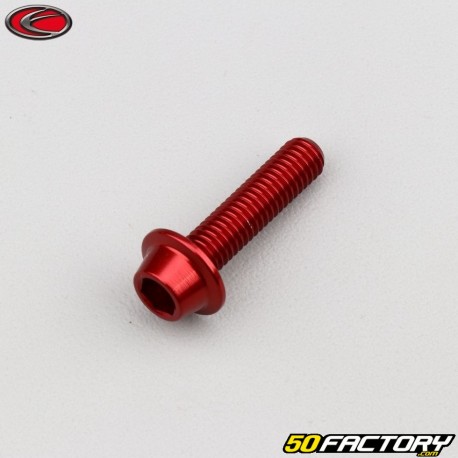 Vis 6x25 mm tête BTR bombée embase Evotech rouge (à l'unité)