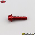 6x25 mm vite BTR testa bombata Evotech base rossa (per unità)